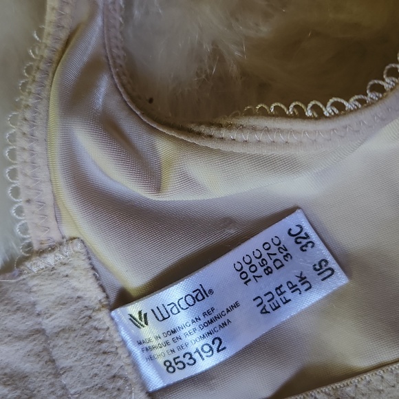 Wacoal Bra - Picture 5 of 5